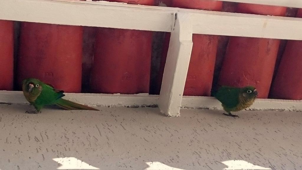 Gavea Bnb Rio de Janeiro Zewnętrze zdjęcie