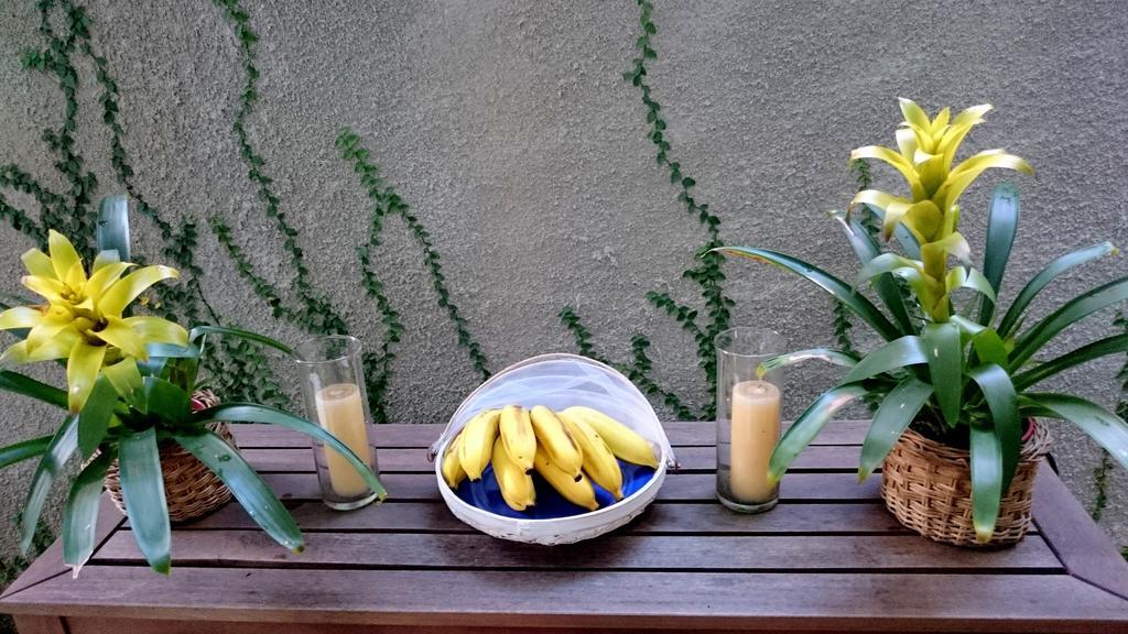 Gavea Bnb Rio de Janeiro Zewnętrze zdjęcie