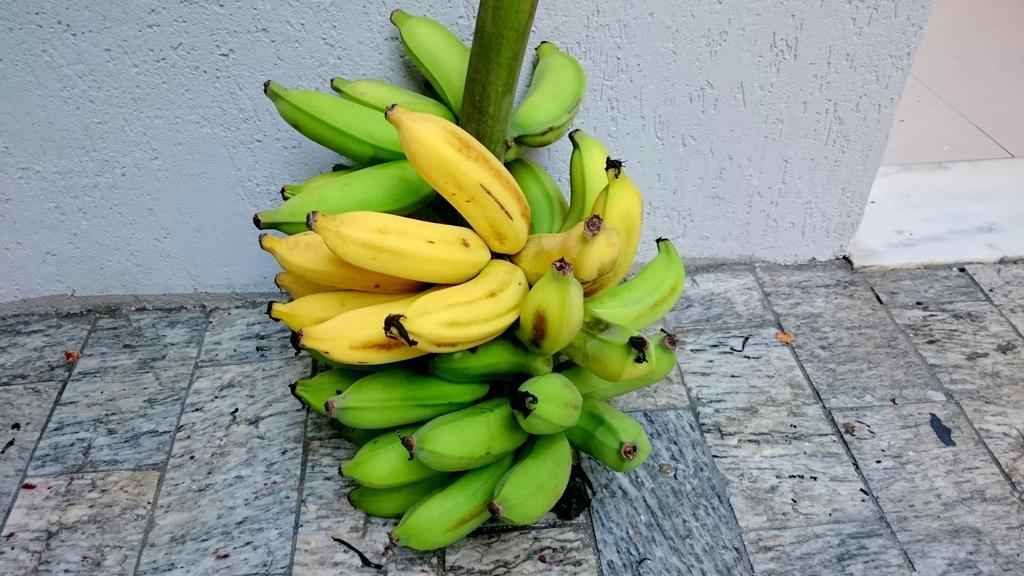 Gavea Bnb Rio de Janeiro Zewnętrze zdjęcie
