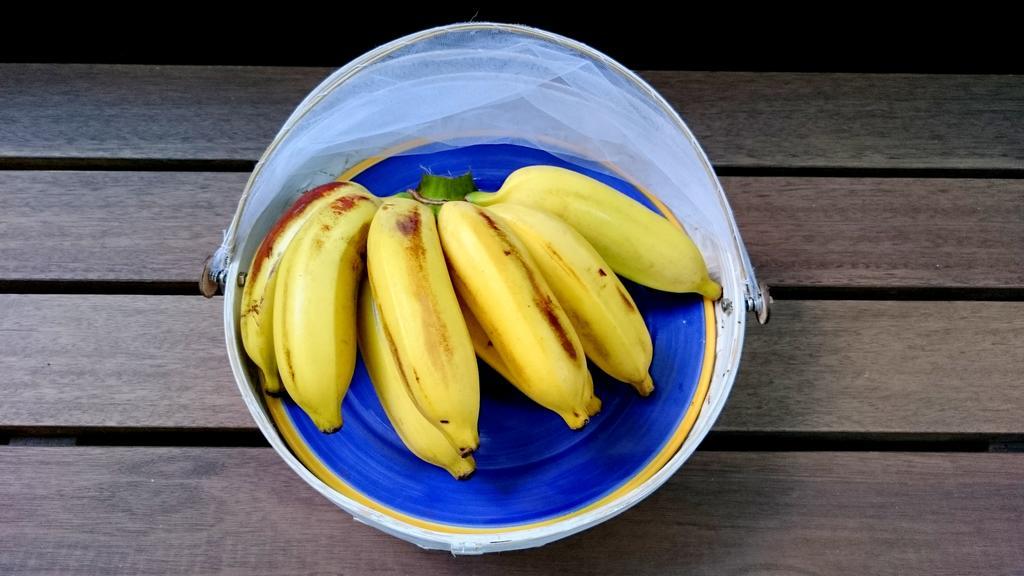 Gavea Bnb Rio de Janeiro Zewnętrze zdjęcie