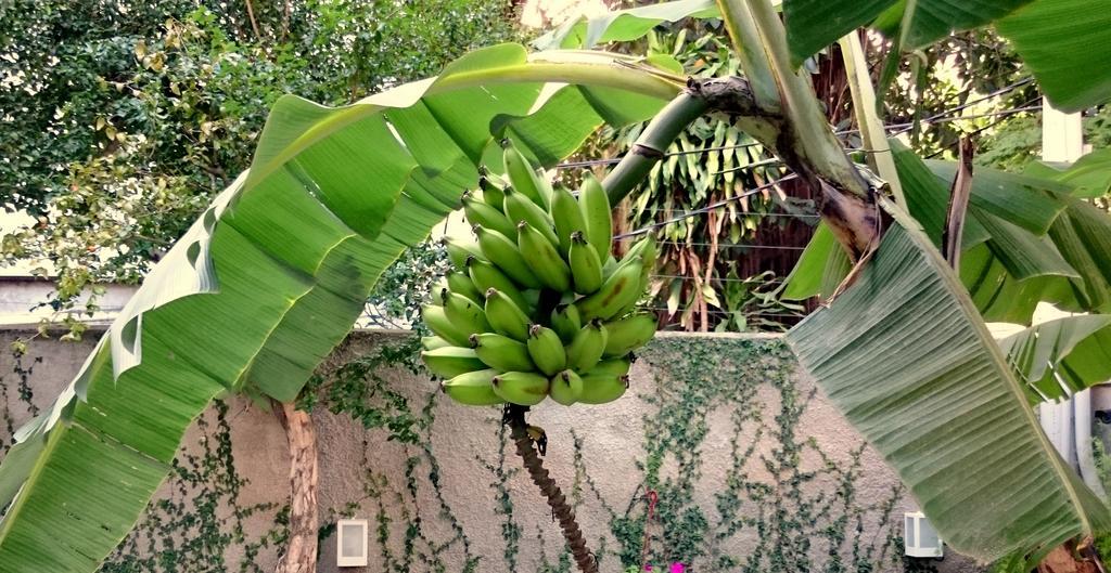 Gavea Bnb Rio de Janeiro Zewnętrze zdjęcie